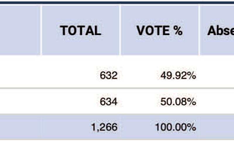 Vidor ISD Trustee Position 4