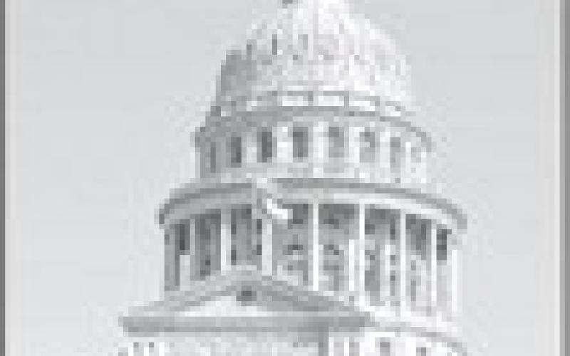 Alt Text for Image