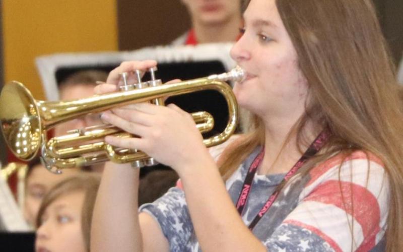 Vidor Junior High hosts annual Veterans Day program
