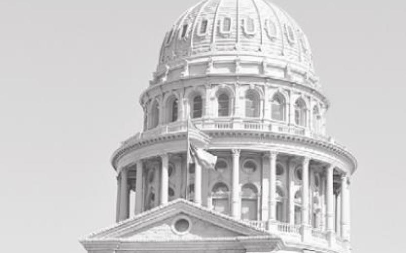 Twenty-nine new laws in effect in January