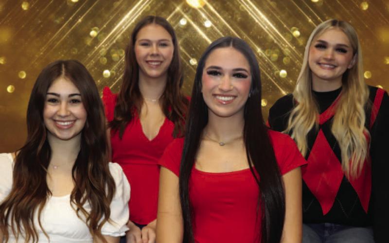 Vidor High School Class Beauties Candidates