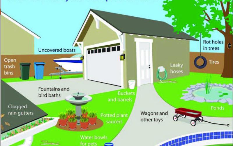 There are a variety of places in the backyard that can serve as a potential breeding ground for mosquitoes.