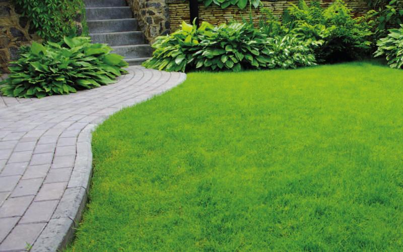 Taking care of your yard during a heat