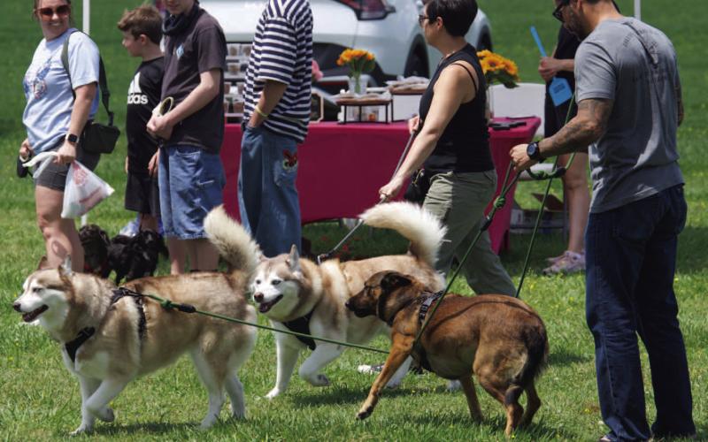 Barkfest a success