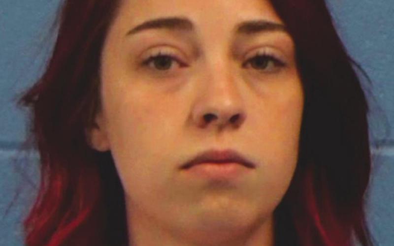 Chelsea Shipp-Williamson County mug shot