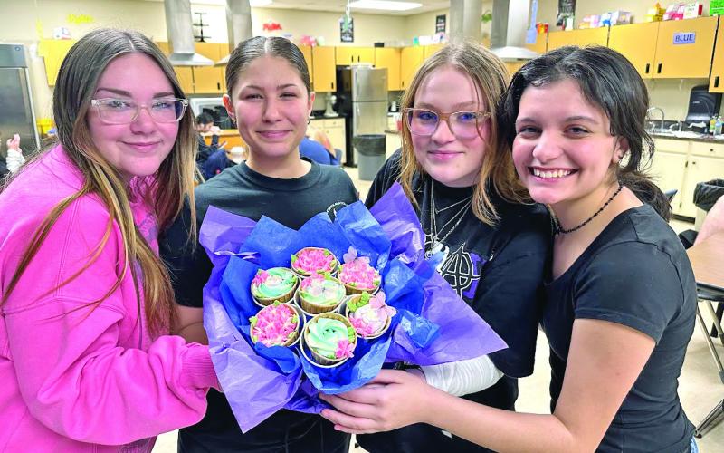 Culinary Arts Cupcake Contest