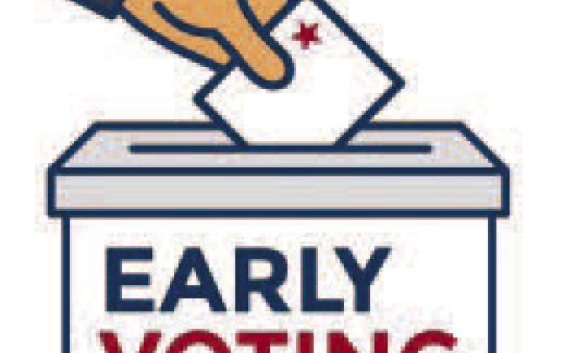 Early voting in Primary Election ends Friday