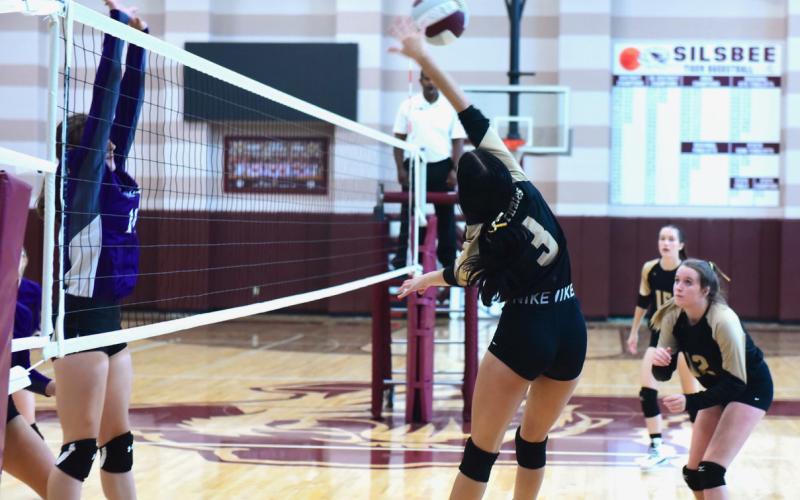 Hannah Bevineu #3, Ava Friend #12 and Miley Rice #15 on offense in the Championship game versus PNG at the Silsbee Volleyball Tournament Saturday.