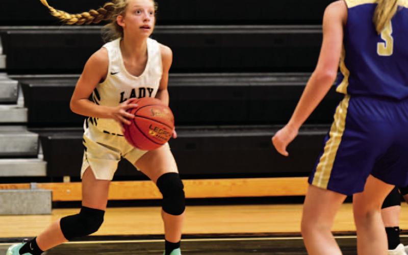 Mia Robin prepares to shoot in Tuesday’s game against Hamshire Fannett. Photo by Randall Luker