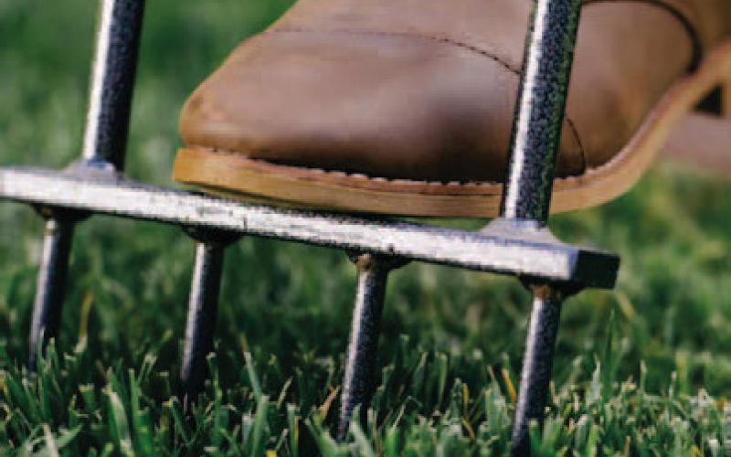 Reap Spring Rewards: Perform Yard Work Now