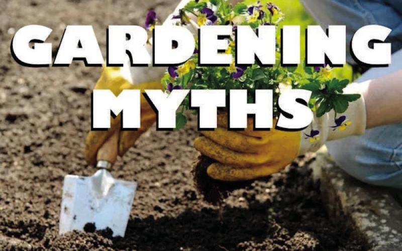 Fact or Fiction: Garden Myths…Debunked