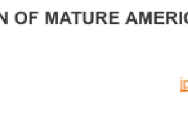 Alt Text for Image