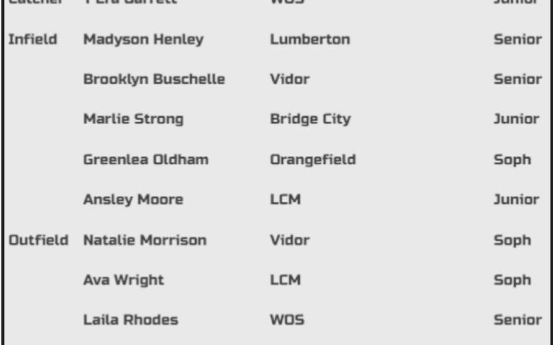 Coaches name 2022 22-4A All-District Softball Team
