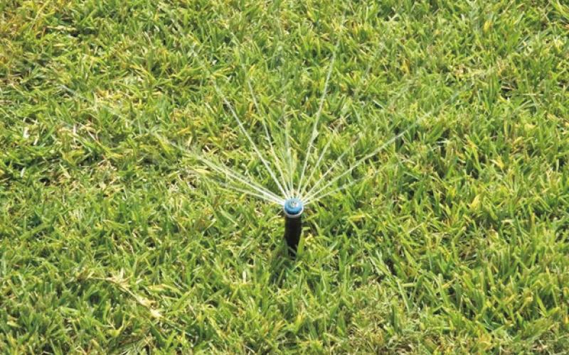 There is an art to maintaining a well-manicured, healthy lawn and fertilizer application has an important role in the maintenance routine by providing vital nutrients. Fertilizing a lawn provides thorough nutrition that will create a dense, luxurious “green carpet” (courtesy: agrilifetoday. tamu.edu).