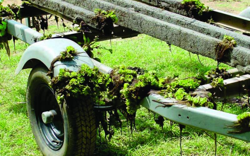 Boaters Urged to ‘Clean, Drain and Dry’ to Stop the Spread of Aquatic Invasive Species