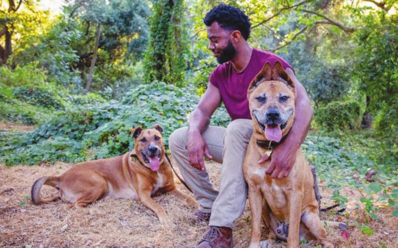 Best Friends Animal Society offers the top 5 ways pets can make our 2021 New Year’s resolutions stick!