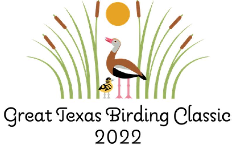 World’s largest birding tournament raises big money for Texas birds