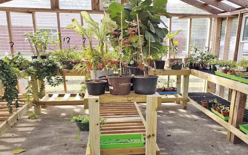 The greenhouse’s wooden benches were built outside the greenhouse then secured to the framework for added structural support. The center bench can be strategically maneuvered inside the greenhouse, or ‘rolled’ outside as needed, making plant relocation a breeze. Metal grating has been placed on top of the lawn area outside the greenhouse entryway to make center-bench movement easier when relocating plants, while allowing the lawn to remain aesthetically pleasing. (image: John Green)