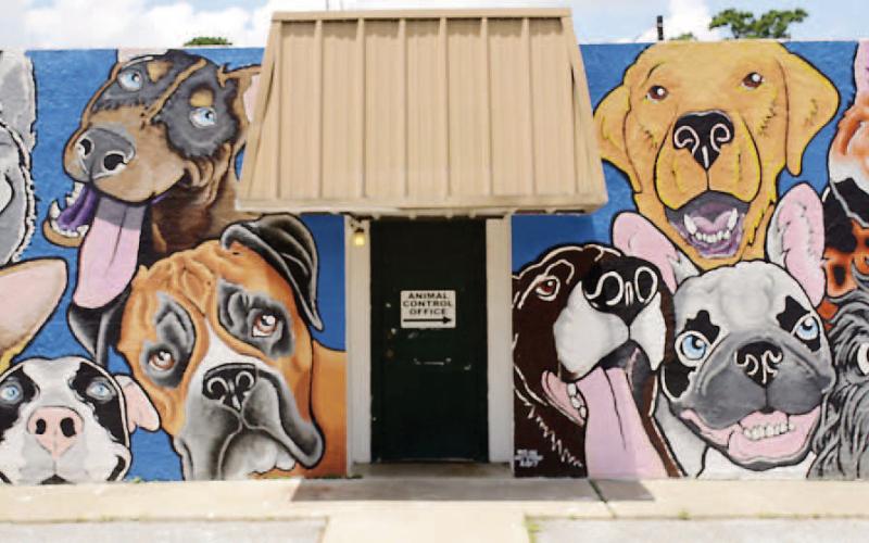 Main Street may become more colorful as the City of Vidor has reached out to some businesses with large bare exterior walls to gauge their interest in brightening up Main Street with a mural similar to this one on the city's Animal Control Building. Local artist Terry Bussinger did the honors on this mural and the 'I' in Vidor mural on the city library. Archive Photo