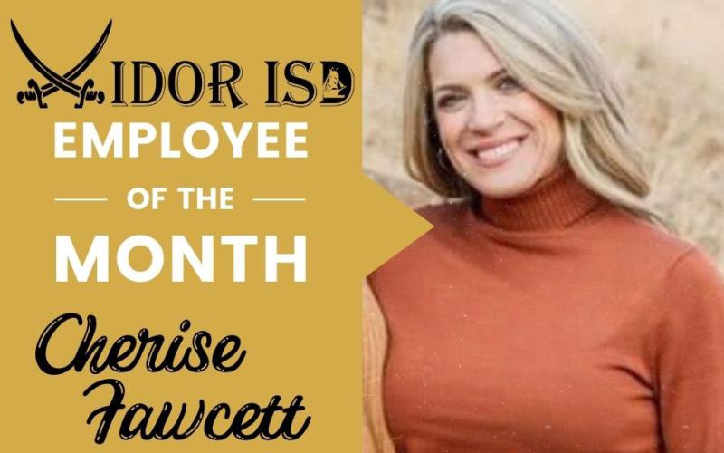 Alt Text for Image
