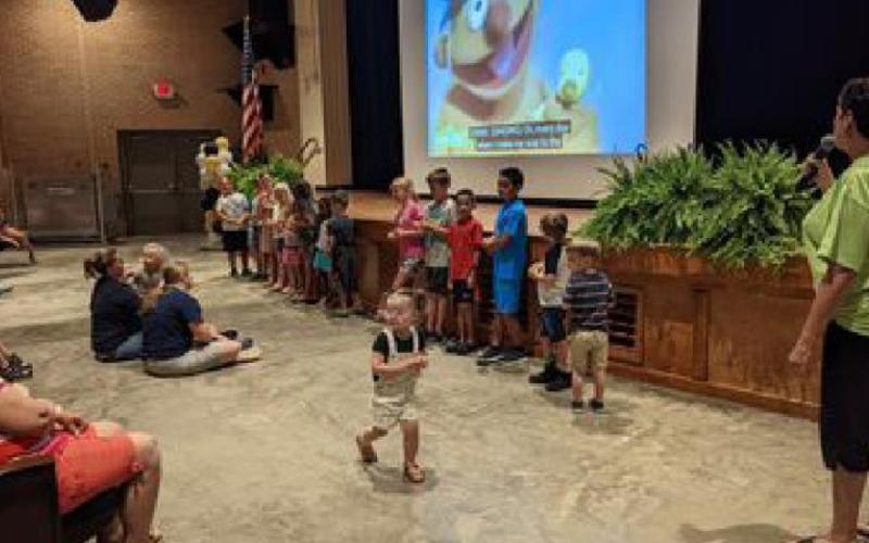 The Vidor Public Library
