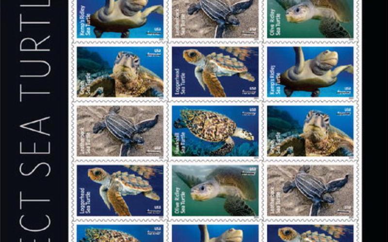 Sea Turtles Ride A Wave Onto New Stamps
