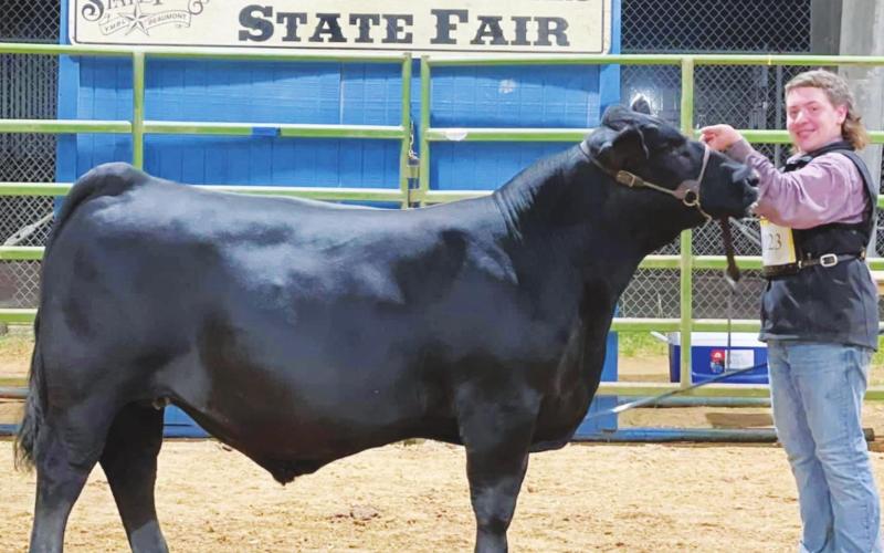 Vidor FFA does well at the Beaumont YMBL Livestock Show