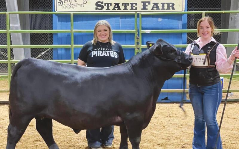 Vidor FFA does well at the Beaumont YMBL Livestock Show
