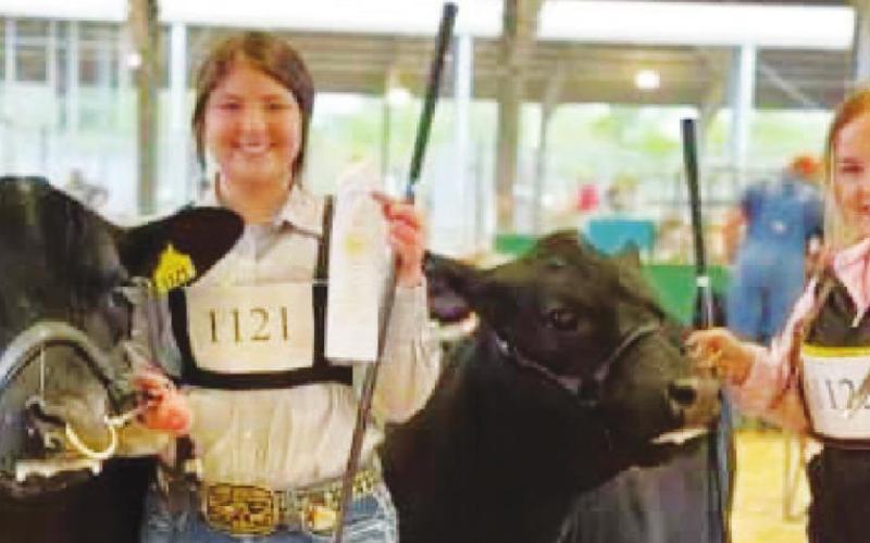Vidor FFA does well at the Beaumont YMBL Livestock Show