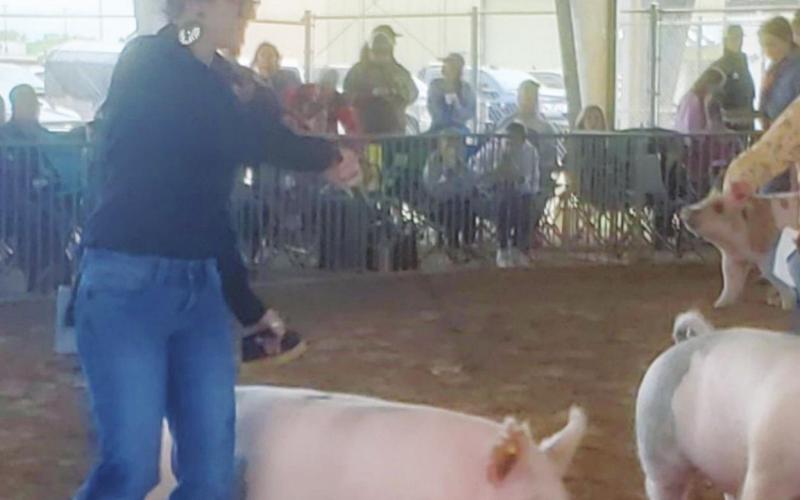 Vidor FFA does well at the Beaumont YMBL Livestock Show
