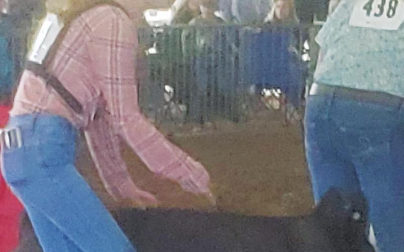 Vidor FFA does well at the Beaumont YMBL Livestock Show