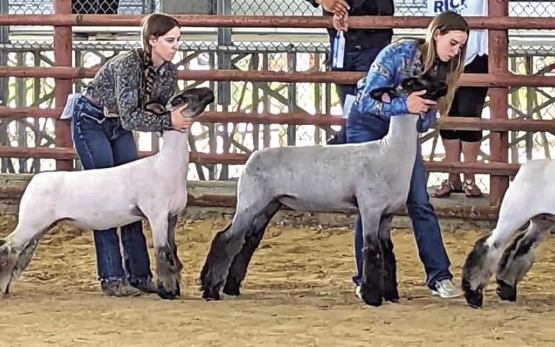 Vidor FFA at Rice Festival