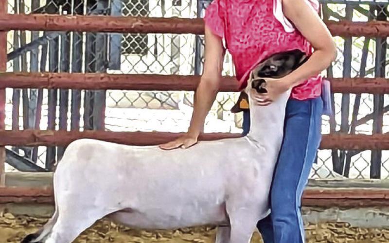 Vidor FFA at Rice Festival