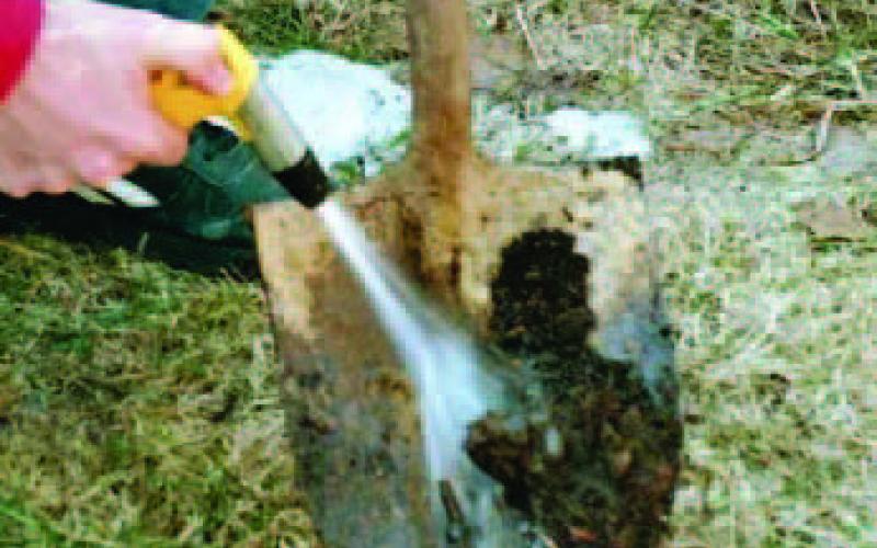 Made in the shade: Garden tool maintenance