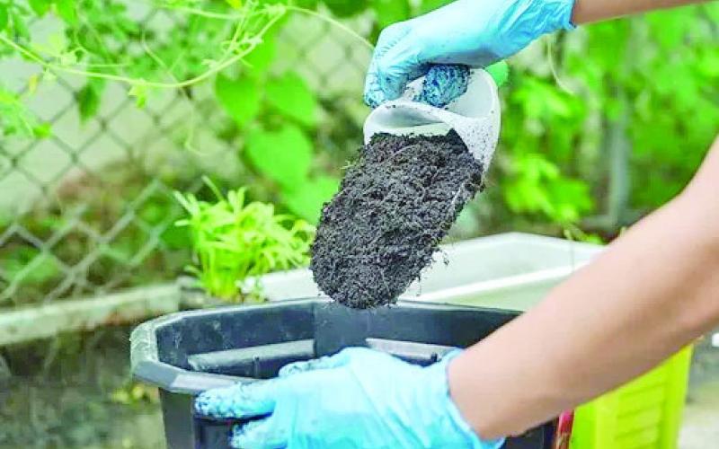 Soil contains a collection of ‘living’ microorganisms (microbiome) which includes bacteria, fungi, algae, and protozoa. These diminutive organisms perform a critical role in soil health: assist in breaking down organic matter, releasing ‘entrained’ nutrients, and suppressing plant diseases (image courtesy: myselectlawn.com).