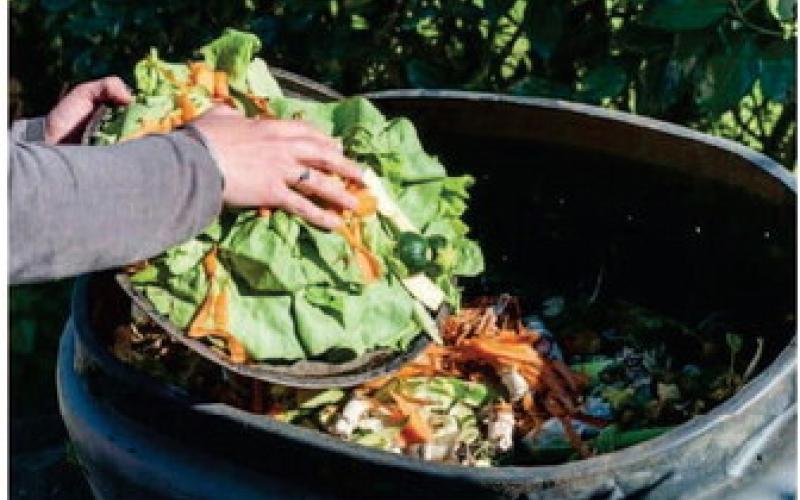 The Art of Composting: Knowing the Basics
