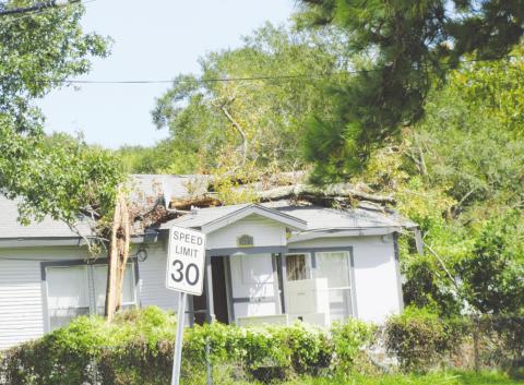Hurricane Laura snapped this tree in half and threw it on top of this house on Wilson Street in Vidor. Photo by George Garza