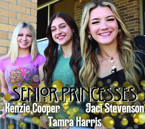 One of these Vidor High School Senior Princesses will be crowned the 2023 VHS Homecoming Queen during halftime festivities Friday at Pirate Stadium.