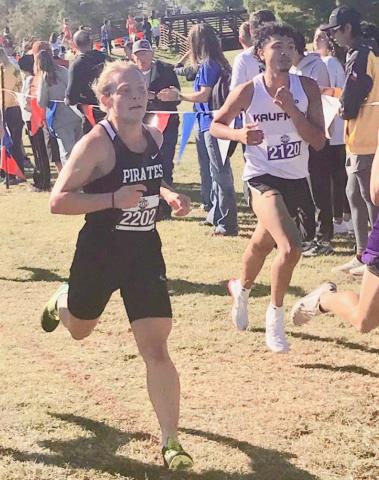 Reed competes at state CC meet