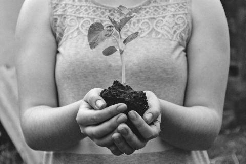 Photo courtesy of Unsplash