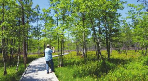 Third year in a row Big Thicket National Preserve welcomed record visitation