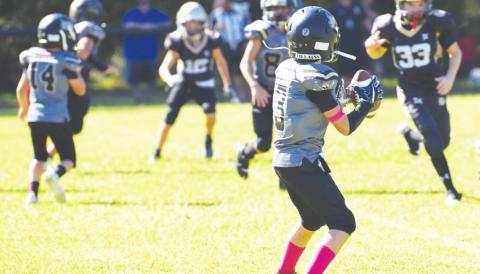 VPIFA Senior League #3 drops back to pass.