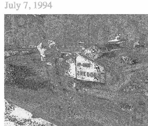 VIDOR’S PAST