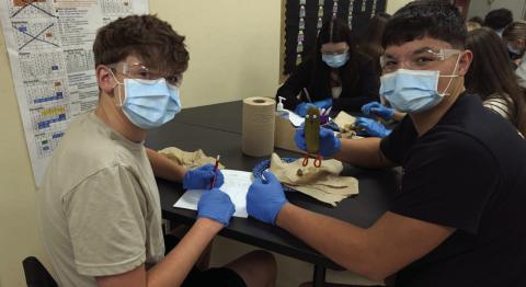 VHS Health Science Students Perform “Pickle Surgery” for Hands-On Learning