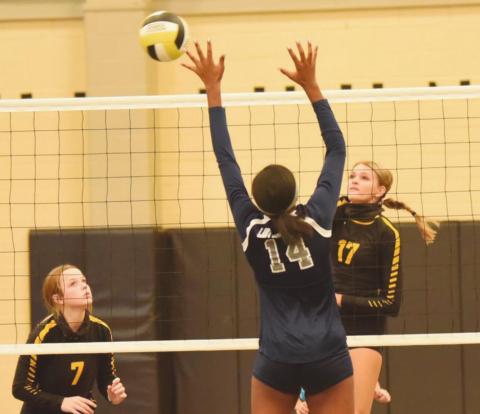 Lady Pirate JV Volleyball