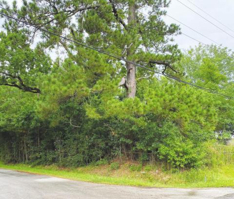 This property at 790 Butler Road is one of ten seized properties in Vidor, TX that are being auctioned by Orange County Sheriff Lane Mooney in an on-line tax sale public auction on the first Tuesday of August, starting at 10:00 a.m. on August 4, 2020. You can sign up to be a bidder in the on-line auction process by accessing the auction site at https://orange.texas.sheriffsaleauctions.com. Photo courtesy Orange County Tax Assessor/Collector