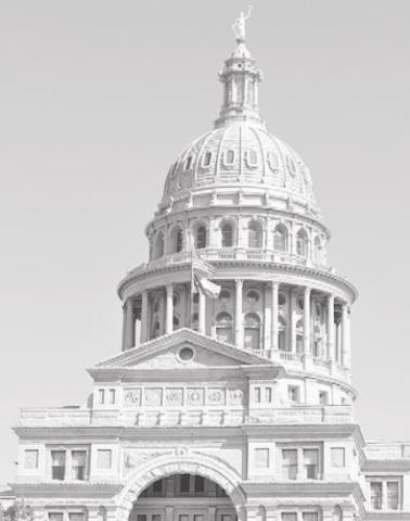 Alt Text for Image