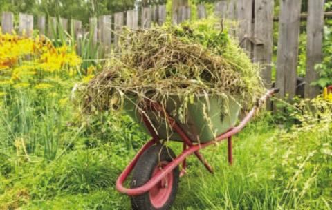 It doesn’t take much time before weeds establish themselves into garden and landscape areas. Unfortunately, gardeners who take the “wait and see” approach to weed management will experience extreme weed infestations quickly. Weed removal from severely infested areas is daunting, time consuming, and labor intensive (image: epicgardening.com).