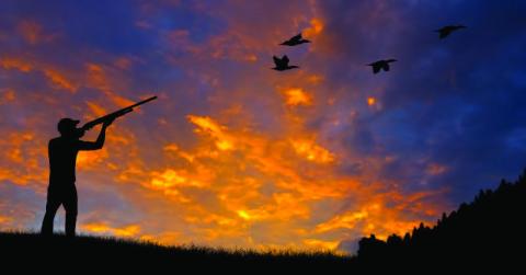 Waterfowl Seasons Open Soon
