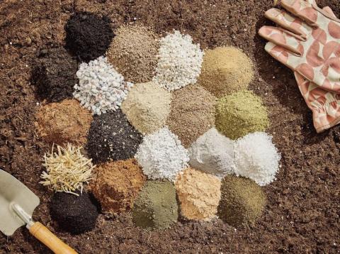 Improve Soil Structure and Nutrient Uptake